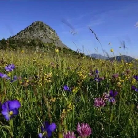 Charming Proche Dolce Via *